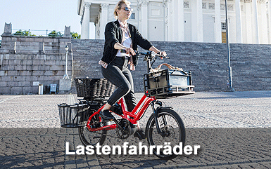 Lastenfahrrad E-Bike